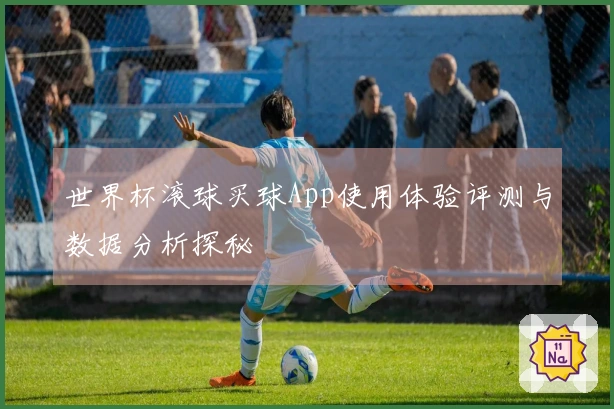 世界杯滚球买球App使用体验评测与数据分析探秘