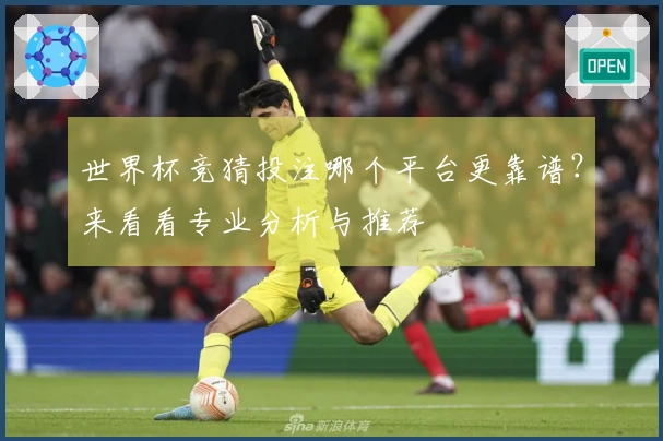 世界杯竞猜投注哪个平台更靠谱？来看看专业分析与推荐
