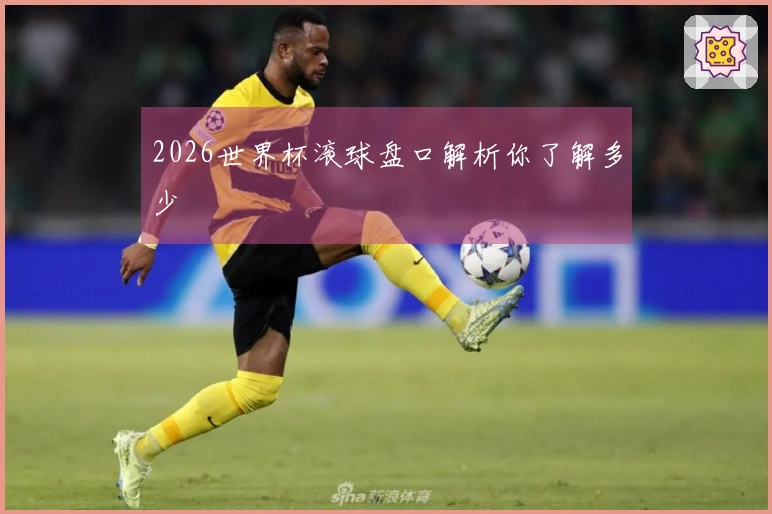 2026世界杯滚球盘口解析你了解多少