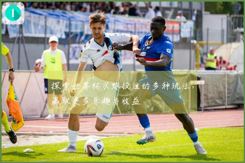 探索世界杯买球投注的多种玩法，赢取更多乐趣与收益