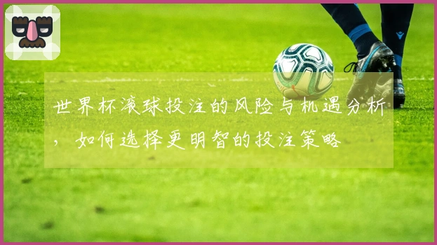 世界杯滚球投注的风险与机遇分析，如何选择更明智的投注策略