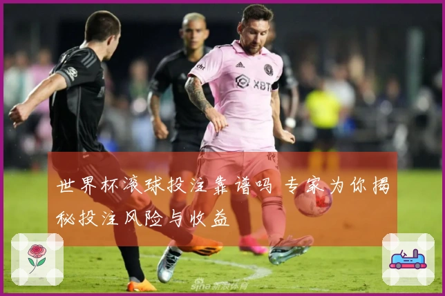 世界杯滚球投注靠谱吗 专家为你揭秘投注风险与收益