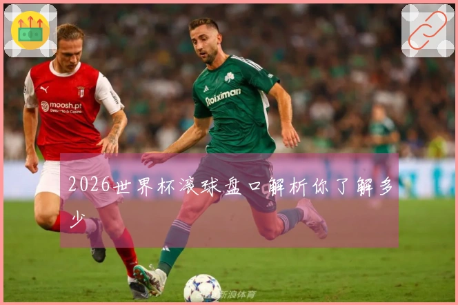 2026世界杯滚球盘口解析你了解多少