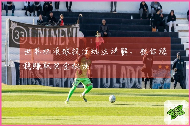 世界杯滚球投注玩法详解，教你稳稳赚取奖金秘诀