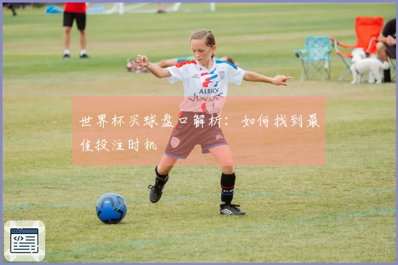 世界杯买球盘口解析：如何找到最佳投注时机