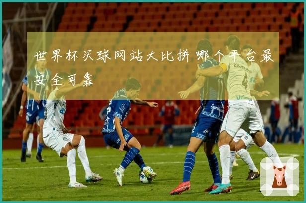 世界杯买球网站大比拼 哪个平台最安全可靠