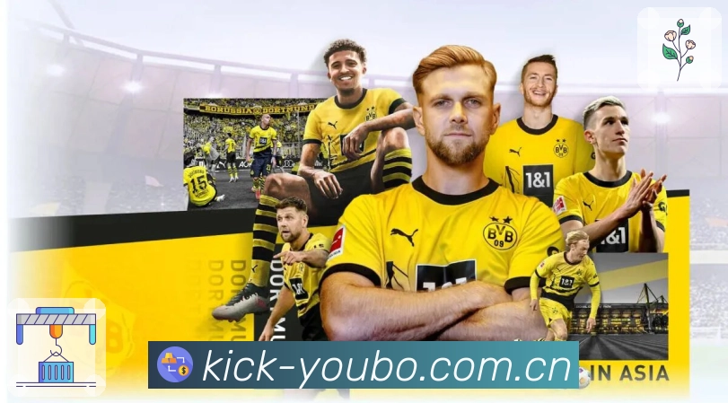 数据更新与安全认证展示